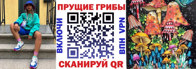 KRAKEN вход  Ардон  Псилоцибиновые грибы прущие грибы 