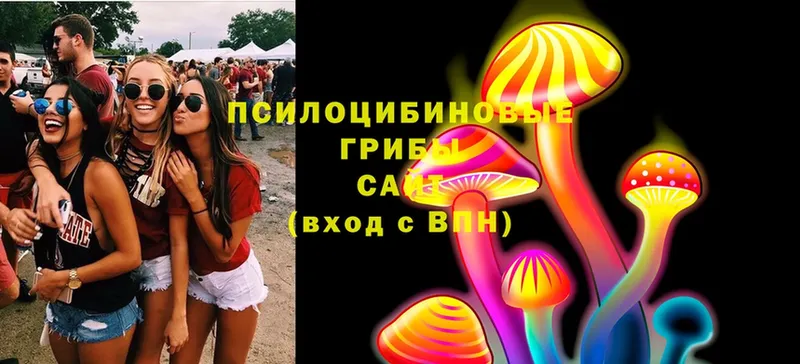 Галлюциногенные грибы Magic Shrooms  МЕГА маркетплейс  Ардон 