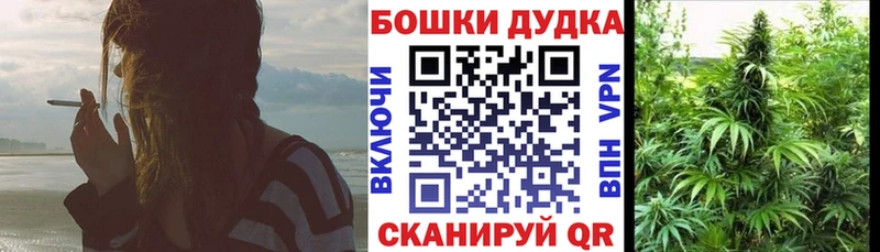 купить наркоту  Ардон  Конопля марихуана 